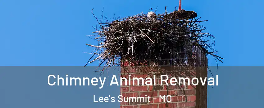  Chimney Animal Removal Lee's Summit - MO