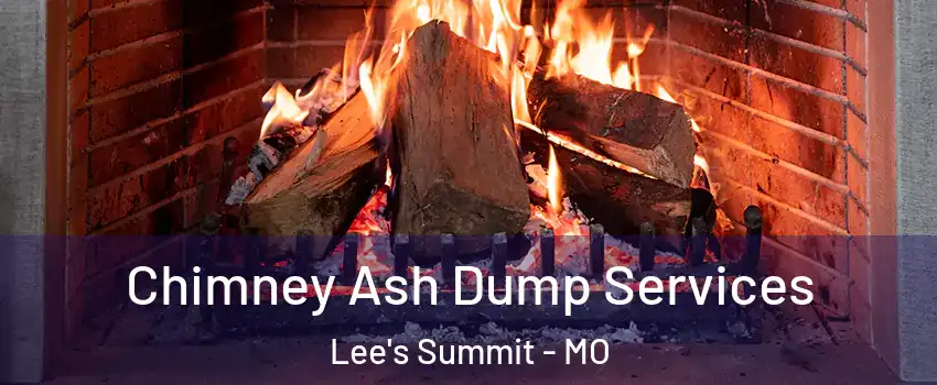  Chimney Ash Dump Services Lee's Summit - MO