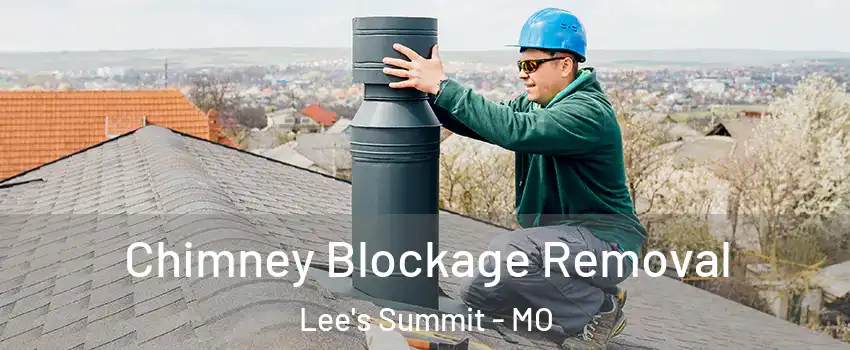 Chimney Blockage Removal Lee's Summit - MO