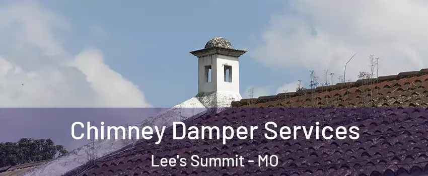  Chimney Damper Services Lee's Summit - MO