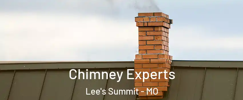  Chimney Experts Lee's Summit - MO