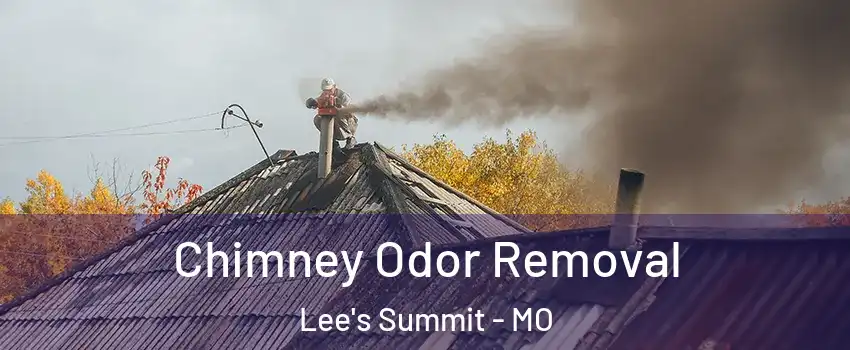  Chimney Odor Removal Lee's Summit - MO