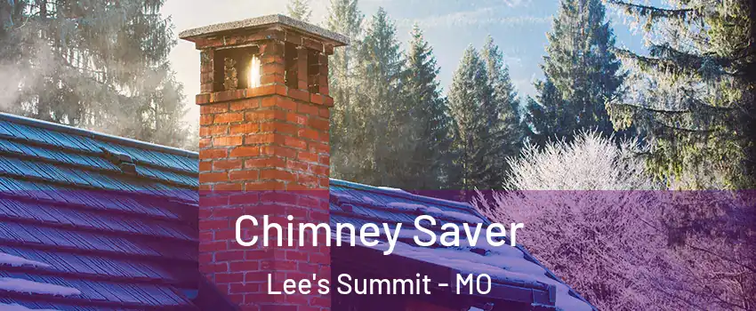  Chimney Saver Lee's Summit - MO