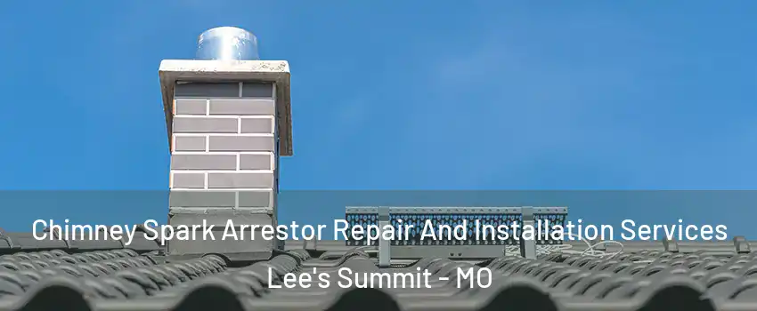  Chimney Spark Arrestor Repair And Installation Services Lee's Summit - MO