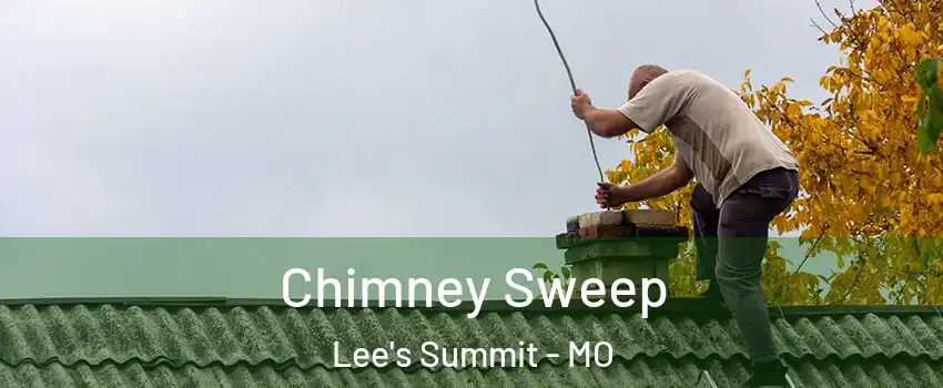  Chimney Sweep Lee's Summit - MO