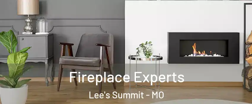  Fireplace Experts Lee's Summit - MO