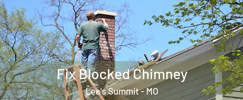  Fix Blocked Chimney Lee's Summit - MO