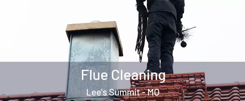  Flue Cleaning Lee's Summit - MO