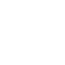 Professional Chimney Flue Installation in Lee's Summit, Missouri