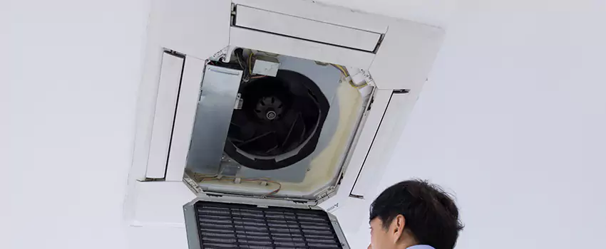 Benefits of Professional Air Duct Cleaning in Lee's Summit, Missouri