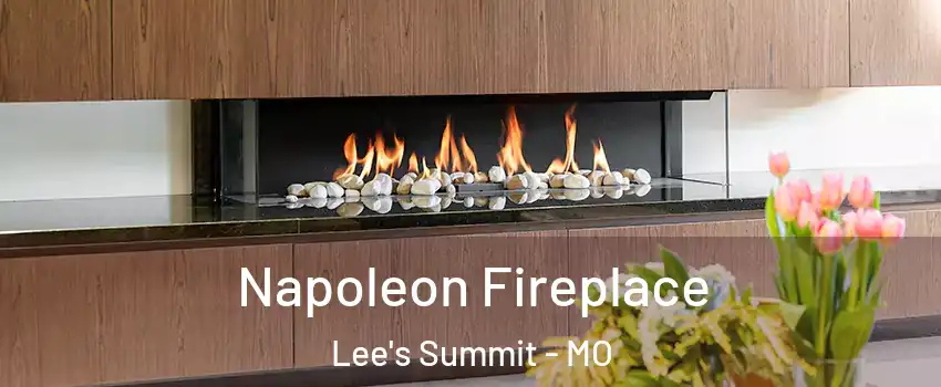  Napoleon Fireplace Lee's Summit - MO